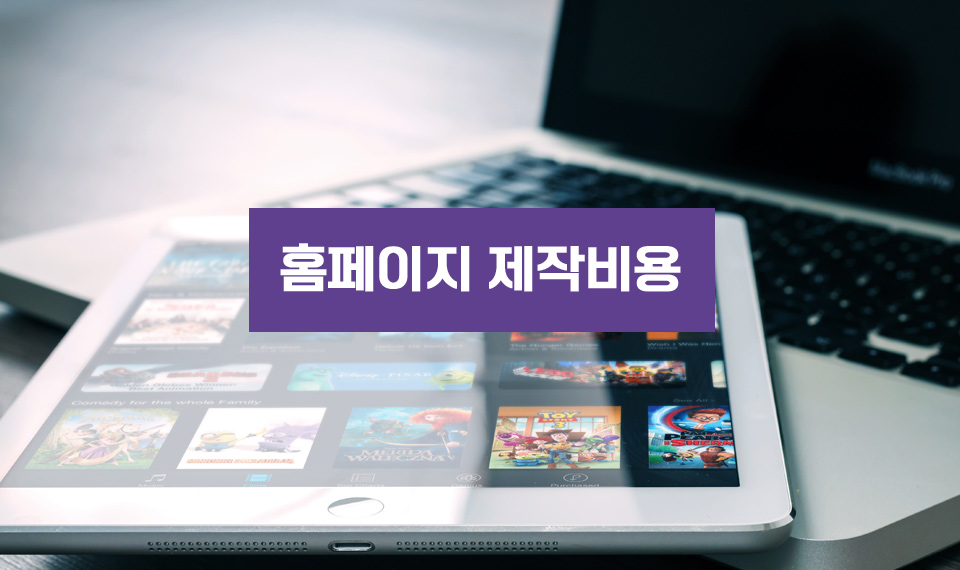 홈페이지 제작비용